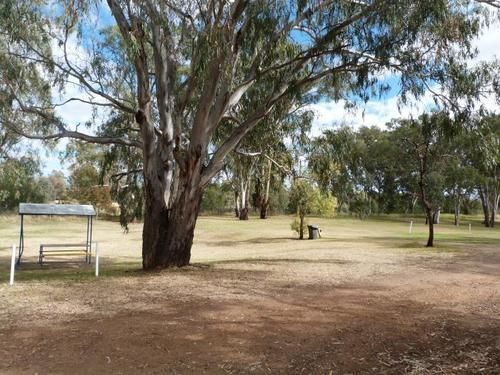 Narrabri Big Sky Caravan Park Εξωτερικό φωτογραφία